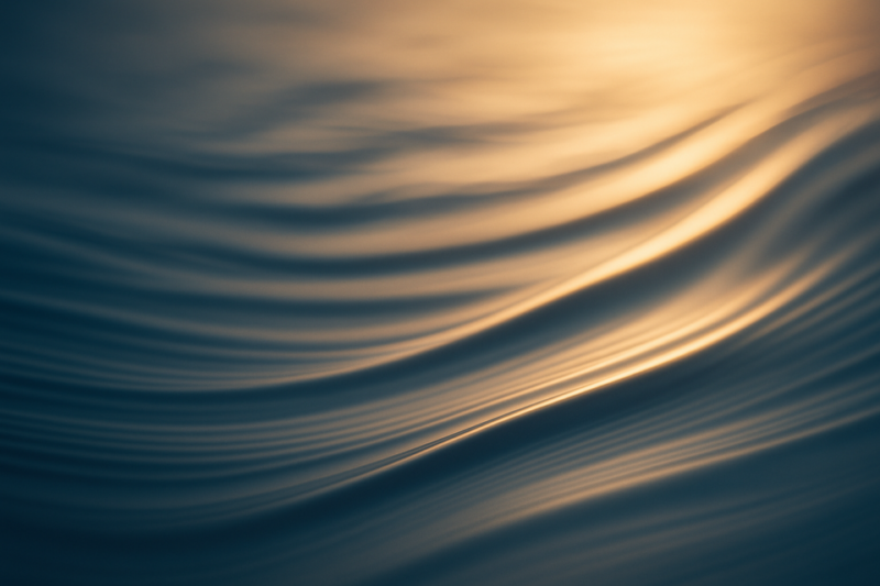 冲动消费 冲动消费